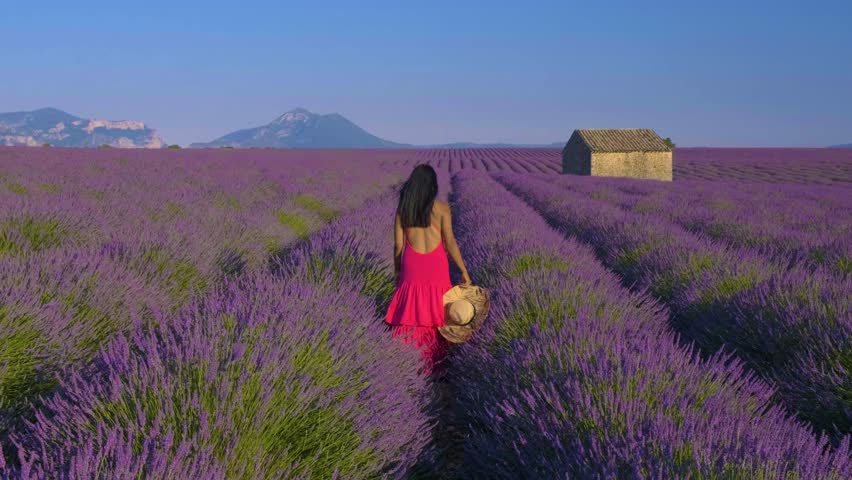 A traveler strolls gracefully through vibrant lavender fields in Provence. The bright colors of the flowers contrast beautifully with the serene landscape and a rustic stone building in the distance. - Powered by Shutterstock - Get 15% off with code: PIKWIZARD15