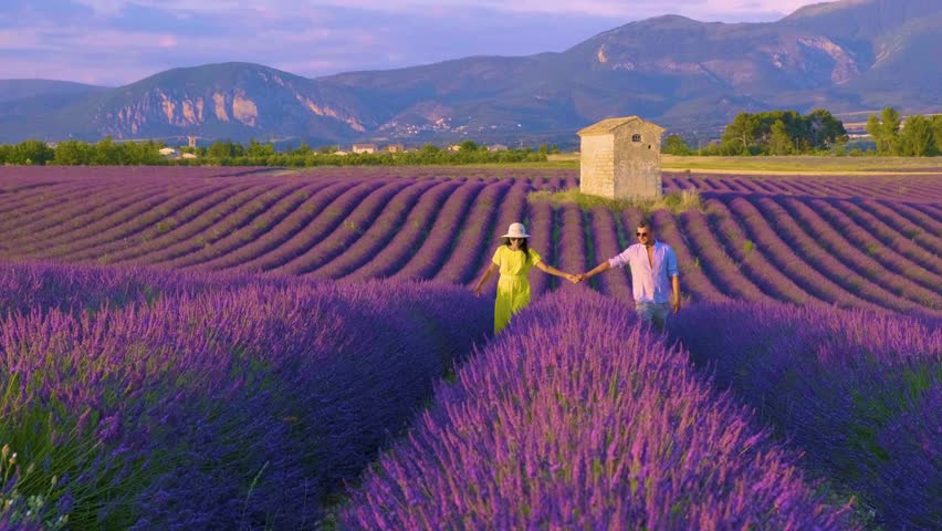 Breathtaking lavender fields stretch endlessly under the warm sun as two friends wander hand in hand among vibrant purple blooms. The landscapes of Provence France offer peace and beauty.