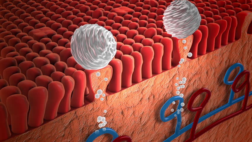 Medication Absorbed by Receptors on the Tongue
