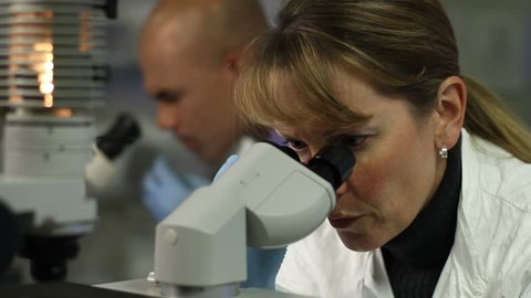 Two scientists carry out research, looking through microscopes. Close up shot with a dolly move and female scientist in foreground.