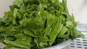 This high-resolution 4K video showcases the meticulous preparation of fresh turnip greens. Capture the vibrant green hues and the satisfying rhythm of the chopping process. Ideal for culinary content. - Powered by Shutterstock - Get 15% off with code: PIKWIZARD15