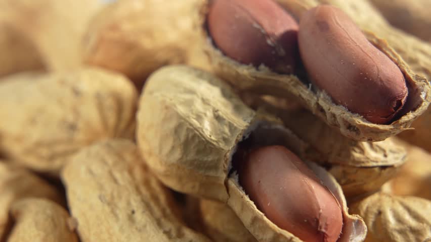 A bunch of peanuts, some of them open. The open peanuts are in the middle of the pile. The peanut is rotates.