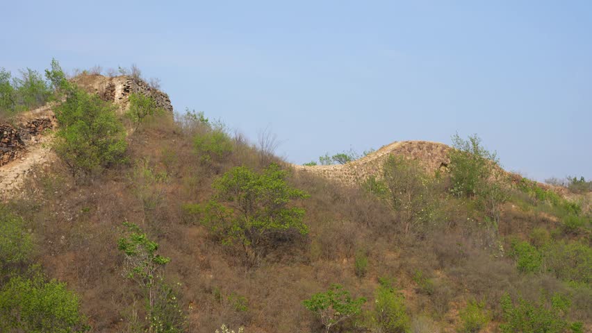 Rugged Great Wall ruins covered in vegetation in unrestored Gubeikou section, Beijing