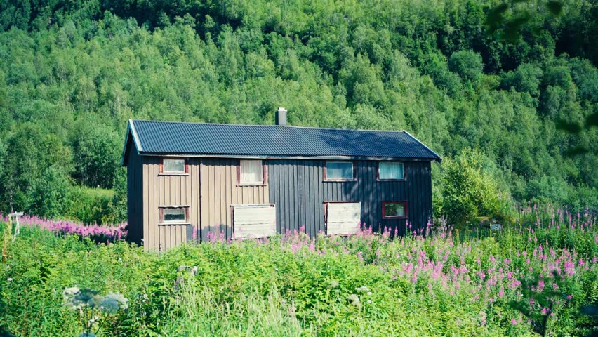 Wooded Cabin In The Wild Forest Of Saltfjellet–Svartisen National Park In Nordland, Norway. Static Shot