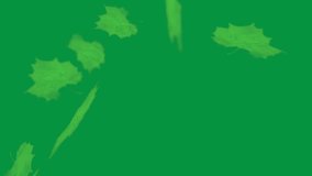 fall autumn leaves animation - vertical video on green screen - Powered by Shutterstock - Get 15% off with code: PIKWIZARD15