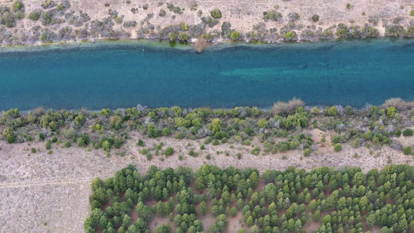 Overhead view of a river with transparent waters next to a pine plantation in Patagonia, Argentina.