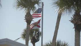 Florida and American red white and blue flag on the same flag pole in slow motion on a summer day near palm trees and FL coastline beach - Powered by Shutterstock - Get 15% off with code: PIKWIZARD15