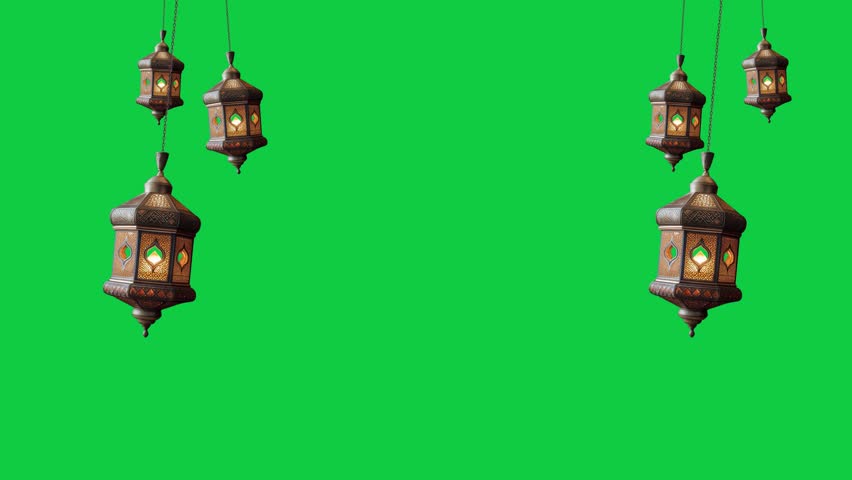 Shutterstock Video