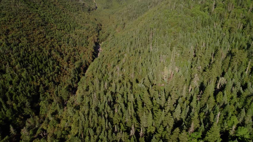 White clouds sit atop Mount Washington under blue skies