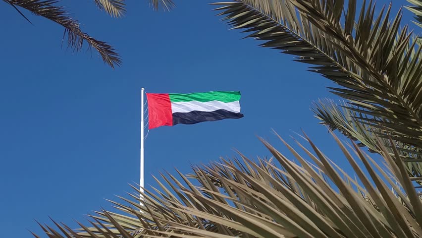 UAE flag waving in the blue sky between palm trees, national symbol of UAE. High quality 4k footage.