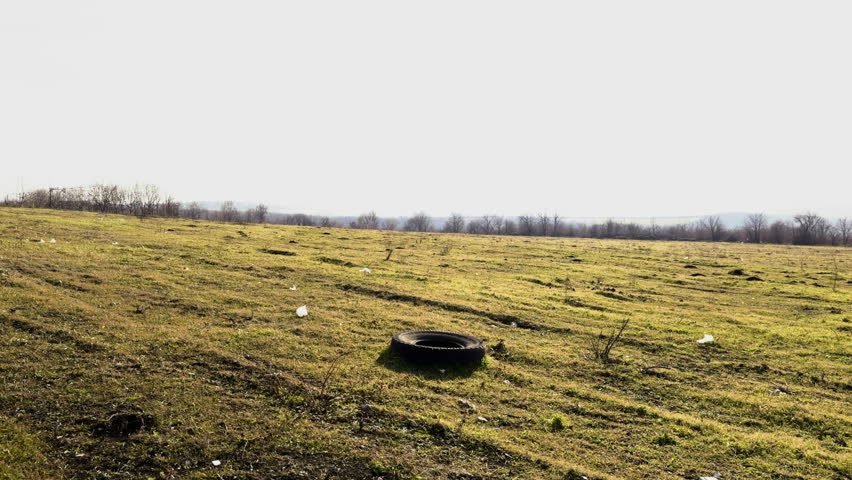 Open forest field, in a sunny spring and garbage thrown directly into nature. Rubber car wheel thrown into the forest. Non-recyclable garbage that pollutes the natural environment