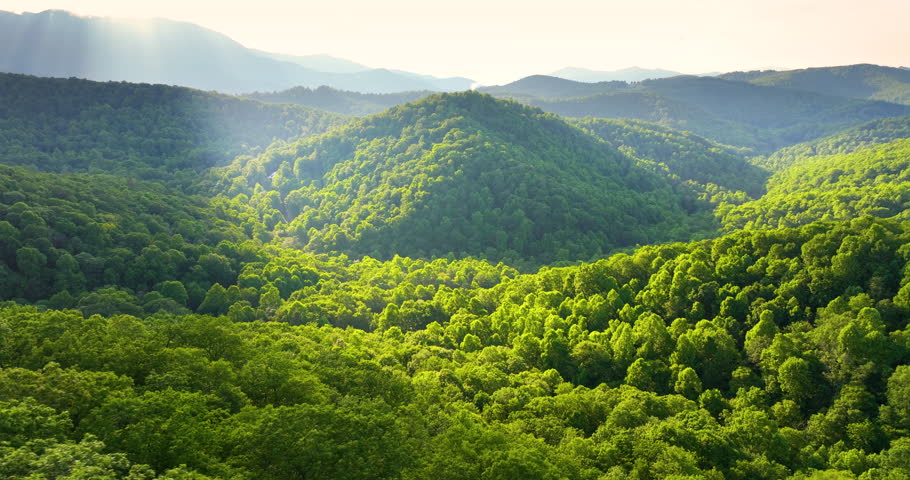 Great Smokey Mountains at sunrise in summer season. Mountain wooded hills in North Carolina Appalachians, USA