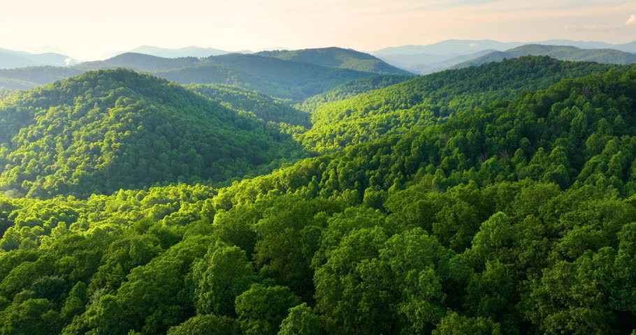 Great Smokey Mountains at sunrise in summer season. Mountain wooded hills in North Carolina Appalachians, USA