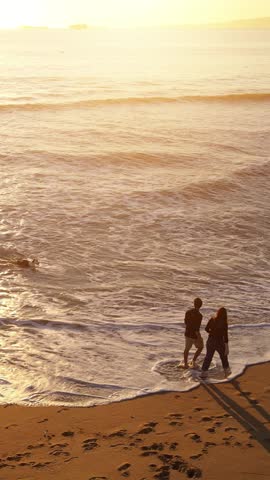 Aerial shot of a happy couple walking and playing with their dog on the beach at sunset in Southern California. Vertical Video.