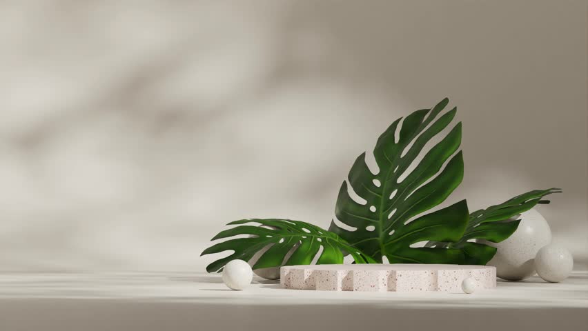 seamless loop shadow animation with monstera leaf and ceramic sphere, 3d video rendering blank mockup of terrazzo pattern podium
