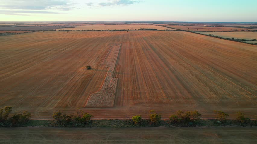 A drone flying over expansive paddocks at sunrise in Sea Lake town, Victoria, Australia