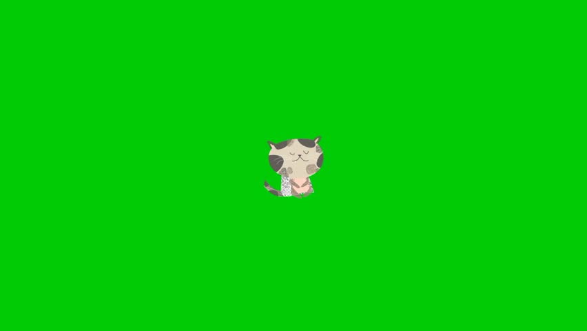 Cute cat animation with green background 