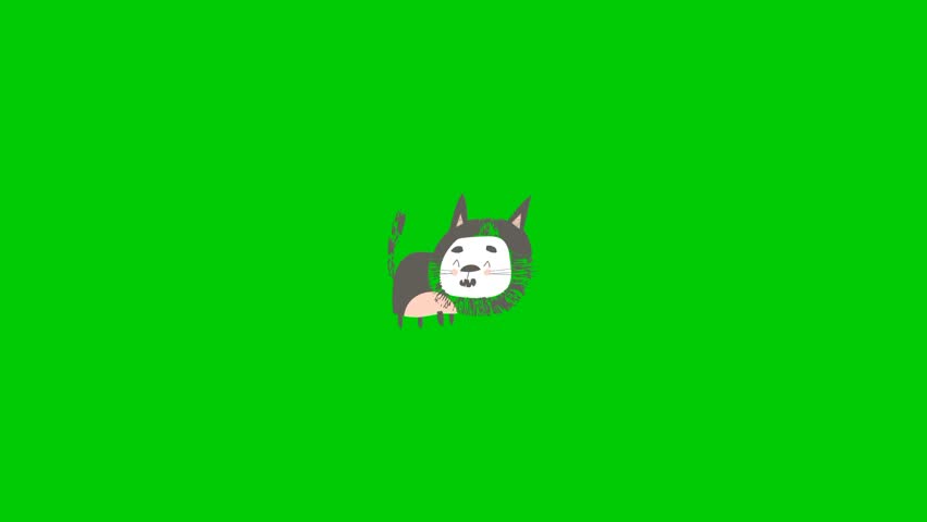 Cute cat animation with green background 