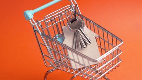 Hand of real estate owner takes the keys to a purchased apartment from small shopping cart. Bright creative orange color background. Keychain in wooden house shape. Conceptual miniature - Powered by Shutterstock - Get 15% off with code: PIKWIZARD15