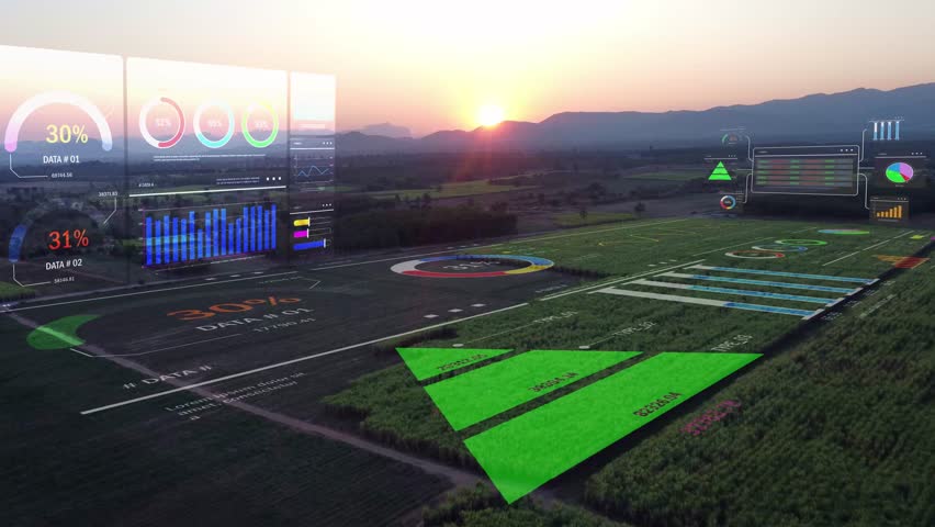 A futuristic hologram visualizes agricultural productivity and sugarcane farm data, showcasing AI-driven farming technology for precision agriculture and sustainable growth.