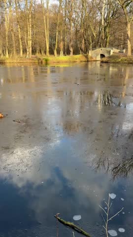 Ducks sliding gracefully on a frozen lake, their movements creating a playful and charming winter scene.