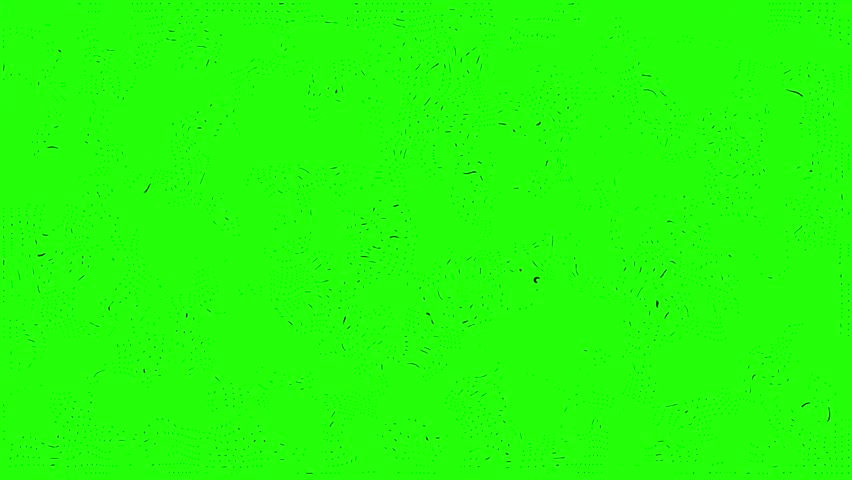 Green screen Dots and grid seamless looped animation. Halftone Duotone Animated pattern overlay. Radio waves opener, Dotted retro texture grunge background