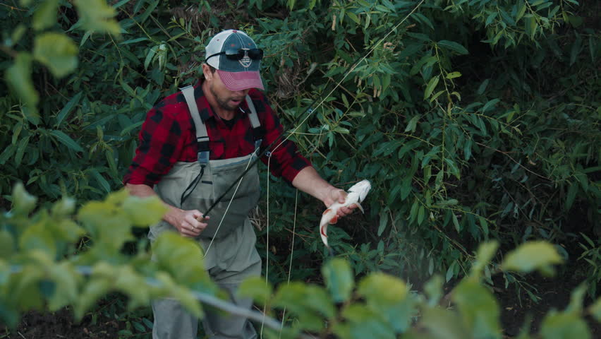 Fisherman casts fly and catches fish on a small river. Set of clips about small river fishing. Male angler casts, strikes, catches fish and shows his best fly.