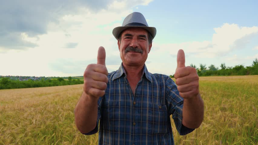 Elderly farmer man with mustache shows thumb up, looking at camera. handheld view and front view of a senior farmer male in the agricultural field, its happy