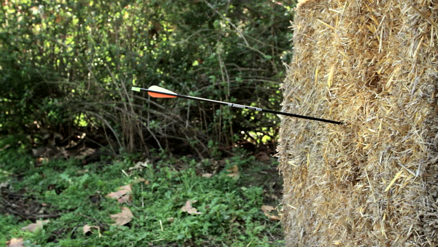 Arrows hitting straw bale used as target for archery practice in woodland