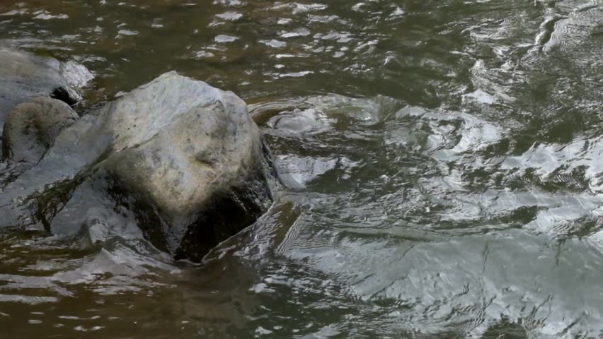Water waves on the rocky river bank.Ripples of clear river water.Green environment and ecology concept.Raw video real time no edit.Footage 4K,60Fps