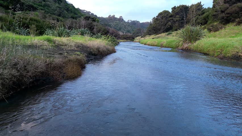 A drone footage of a river flowing through the green lush woods on a sunny day near Long Bay Area, Auckland, New Zealand,