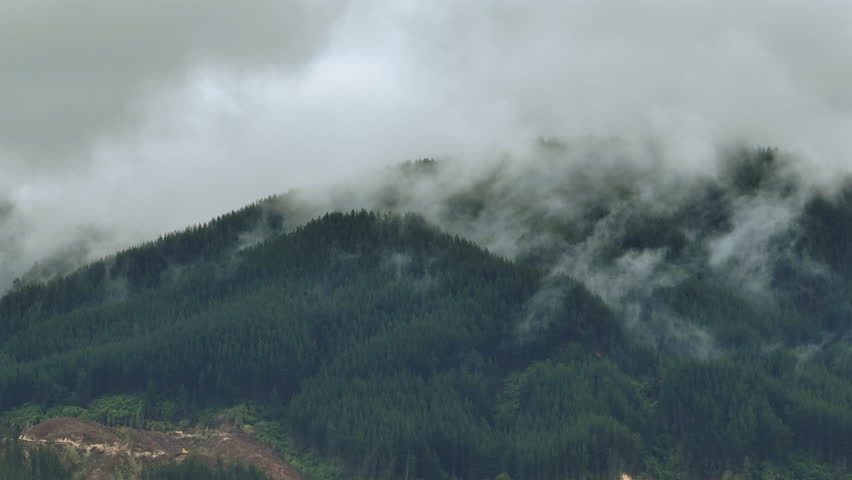 Drone Shot of Rain Clouds Moving Over Heavily Forested Mountain Range, New Zealand