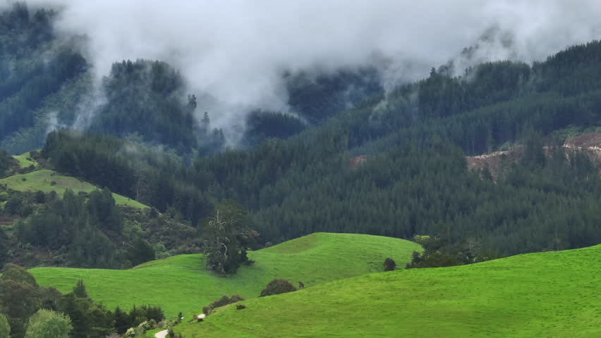 Drone Shot of Rain Clouds Moving Over Heavily Forested Mountain Range with farms down below, , New Zealand