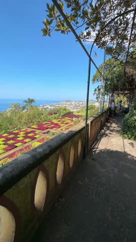 Panoramic View of Funchal, Madeira, from Botanical Garden Terrace on a Clear Day