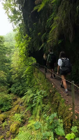 Active people with backpacks hiking green forest trail path and climbing Madeira Island. Group of friends enjoying summer vacation 