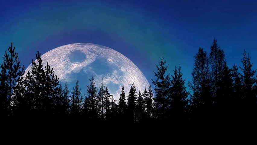 A breathtaking landscape showcasing a large, luminous moon against a deep blue twilight sky, silhouetted by a dense forest of evergreen trees.