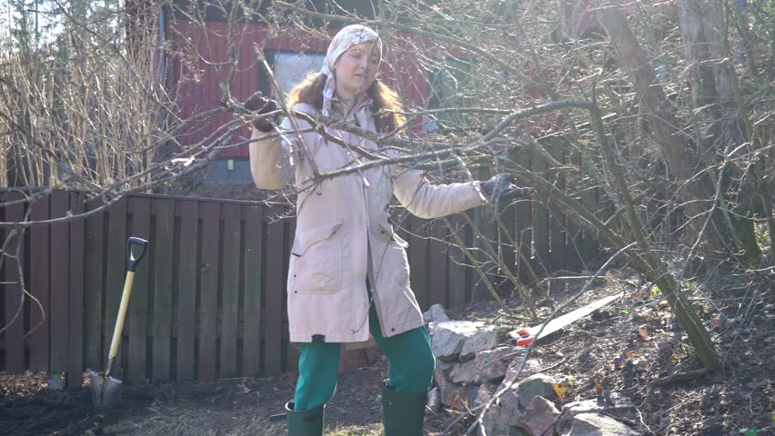 A woman dressed in outdoor workwear, gloves and a headscarf removes a tree branch in a garden during early spring clean up. The setting with rustic fence, a wooden house, and natural elements