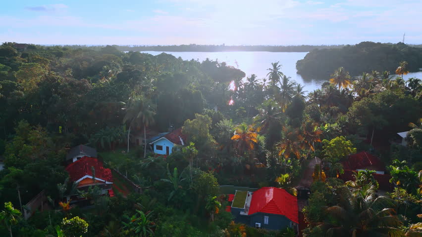 Sun-dazzled scenery of Sri Lanka tropical forests. Flight above the houses located among green palm-trees near the lake. Aerial view.