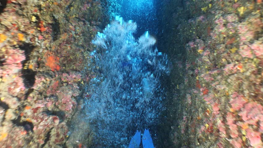 scuba divers exploring caves underwater cave diving