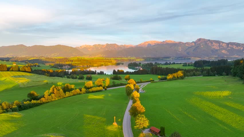 Aerial view of the Lake Forggensee in Alps in the evening, Germany