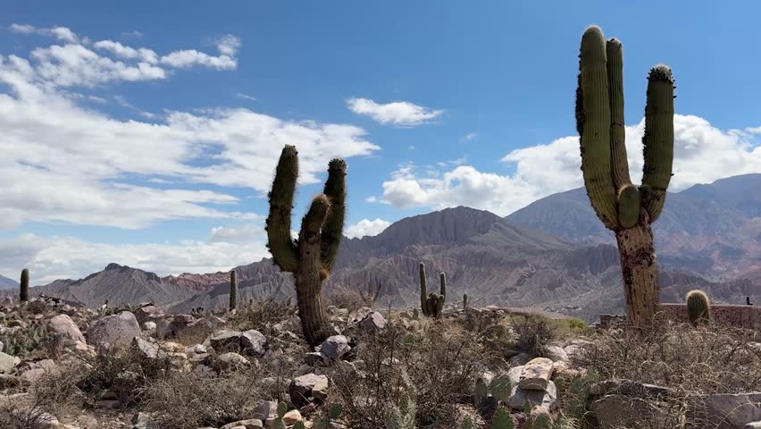 Pucara Tilcara Argentina Cactus Desert 4K