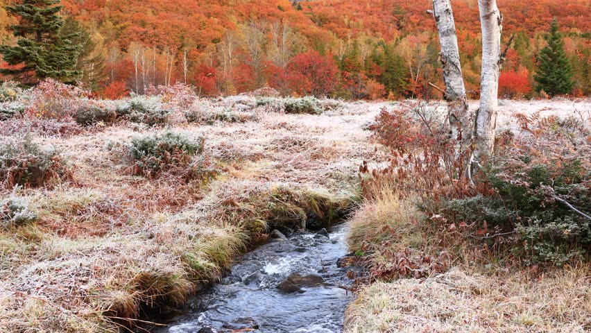 stream in the autumn mountain	
