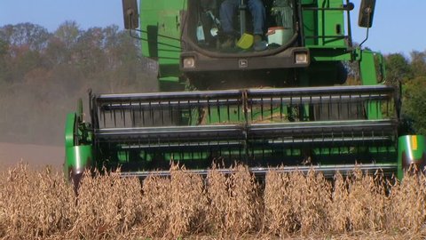 Farmer combining soybeans during harvest. 