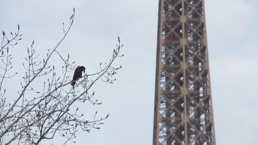 【Paris France】Town - Pont de Bir Hakeem 2