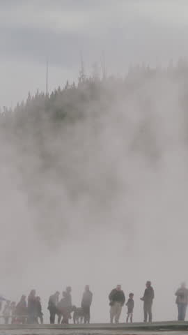 Shutterstock Video