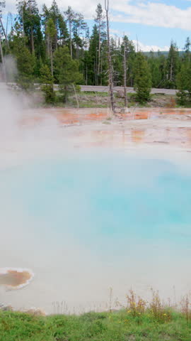 A breathtakingly beautiful hot spring in Yellowstone National Park is enveloped by vibrant lush greenery and rising steam, showcasing the regions remarkable natural beauty and rich, diverse wildlife