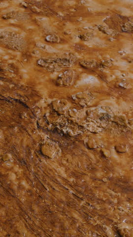 Explore stunning geological formations and vibrant colors in Yellowstone National Park, Wyoming, a natural wonder filled with diverse ecosystems and abundant wildlife, waiting for you