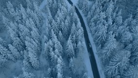 Car riding through winter forest on winding road aerial view. Vehicle traveling along empty rural highway surrounded by snow covered pines drone shot - Powered by Shutterstock - Get 15% off with code: PIKWIZARD15