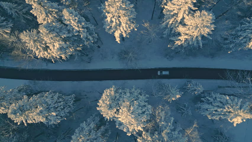 Car riding on snowy winter road sunlit with sunrise glow top down tracking shot. Vehicle traveling through icy spruce forest sunlit with morning sun aerial view