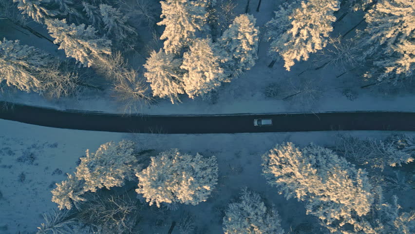 Car riding on snowy winter road sunlit with sunrise glow top down tracking shot. Vehicle traveling through icy spruce forest sunlit with morning sun aerial view
